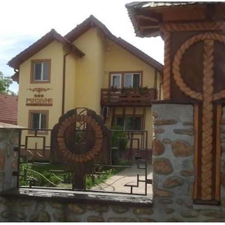 Pensiunea Pentru Tine Prietene Arcani 客房 照片