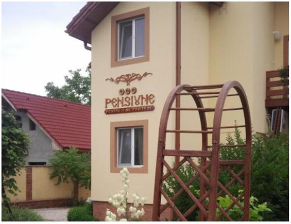 Pensiunea Pentru Tine Prietene Arcani 外观 照片